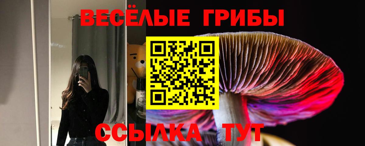 Ртищево  Галлюциногенные грибы Psilocybe  Псилоцибиновые грибы Magic Shrooms  Вход с VPN 
