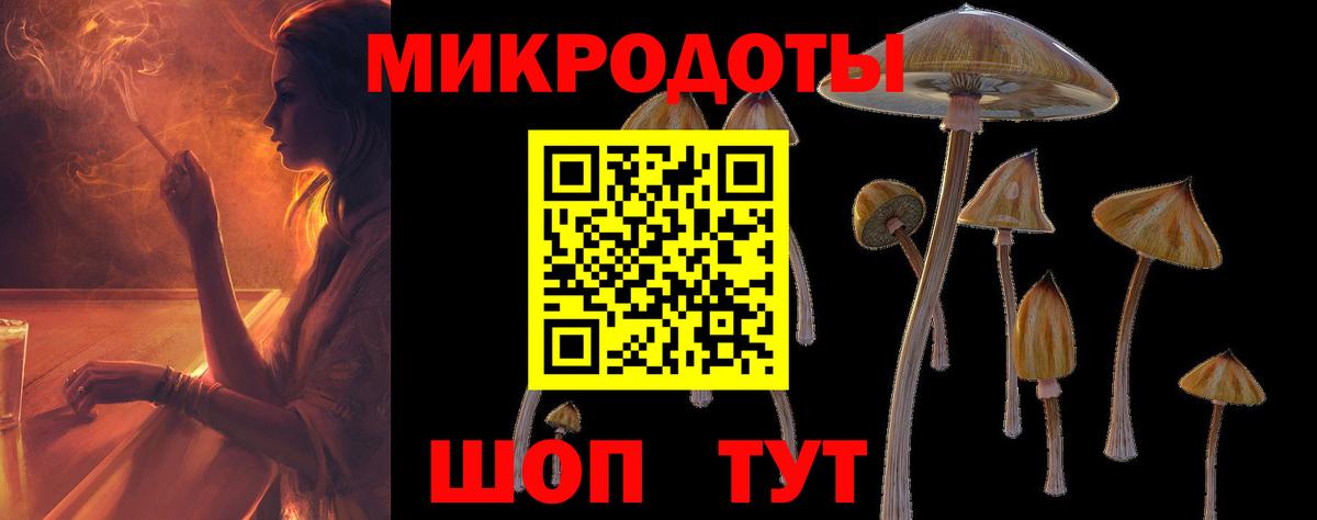 Псилоцибиновые грибы MAGIC MUSHROOMS Ртищево